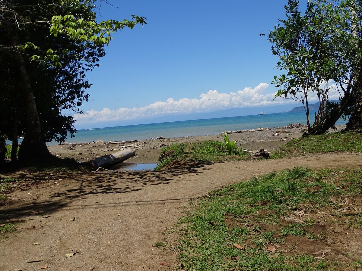 Hostel Osa Tucan Drake Drakes Bay Екстериор снимка
