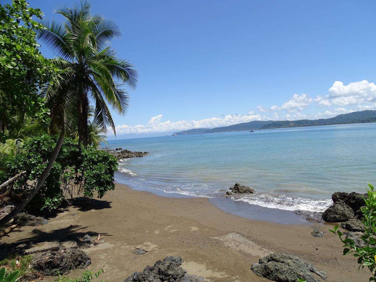 Hostel Osa Tucan Drake Drakes Bay Екстериор снимка