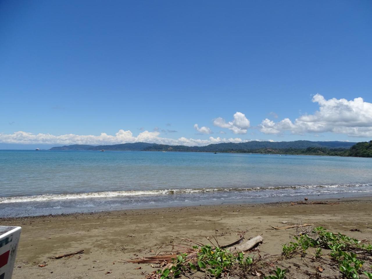 Hostel Osa Tucan Drake Drakes Bay Екстериор снимка